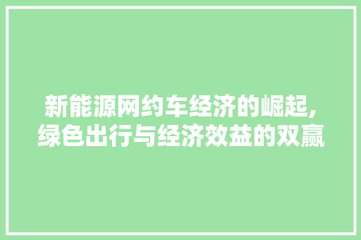 新能源网约车经济的崛起,绿色出行与经济效益的双赢之路