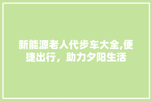 新能源老人代步车大全,便捷出行，助力夕阳生活