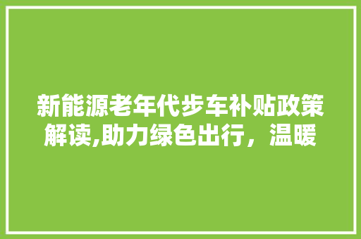 新能源老年代步车补贴政策解读,助力绿色出行，温暖夕阳红