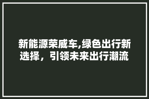 新能源荣威车,绿色出行新选择，引领未来出行潮流