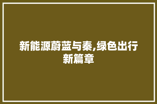 新能源蔚蓝与秦,绿色出行新篇章