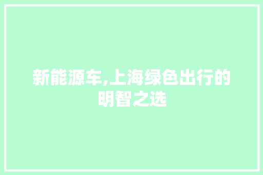 新能源车,上海绿色出行的明智之选