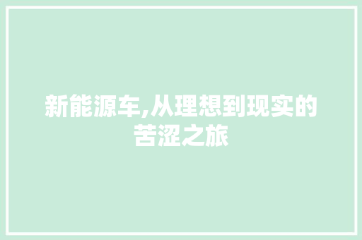 新能源车,从理想到现实的苦涩之旅