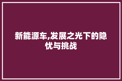 新能源车,发展之光下的隐忧与挑战