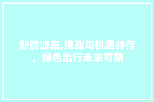 新能源车,挑战与机遇并存，绿色出行未来可期