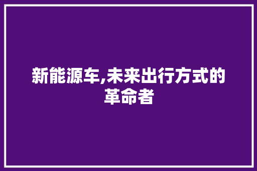 新能源车,未来出行方式的革命者