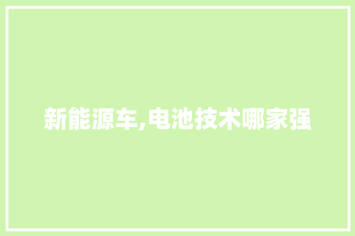 新能源车,电池技术哪家强