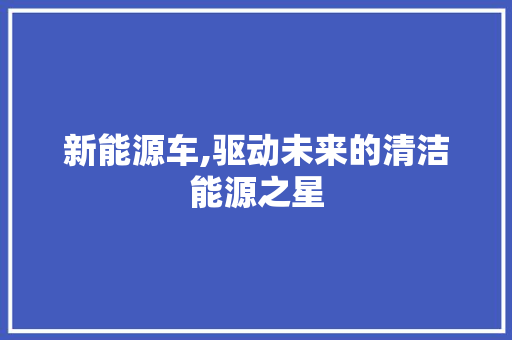 新能源车,驱动未来的清洁能源之星