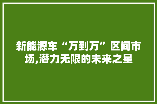 新能源车“万到万”区间市场,潜力无限的未来之星