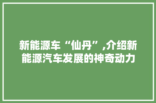 新能源车“仙丹”,介绍新能源汽车发展的神奇动力