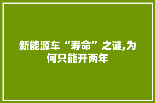 新能源车“寿命”之谜,为何只能开两年