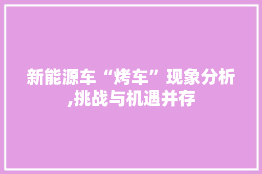 新能源车“烤车”现象分析,挑战与机遇并存  第1张