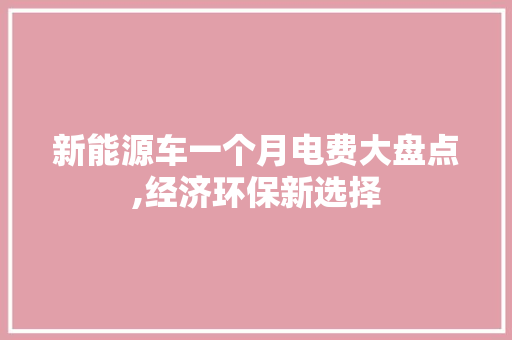 新能源车一个月电费大盘点,经济环保新选择