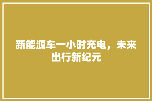 新能源车一小时充电，未来出行新纪元