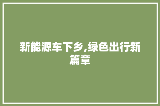 新能源车下乡,绿色出行新篇章  第1张