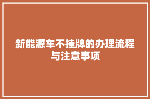 新能源车不挂牌的办理流程与注意事项  第1张