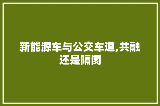 新能源车与公交车道,共融还是隔阂  第1张