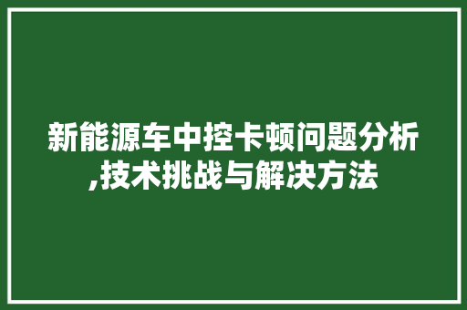 新能源车中控卡顿问题分析,技术挑战与解决方法