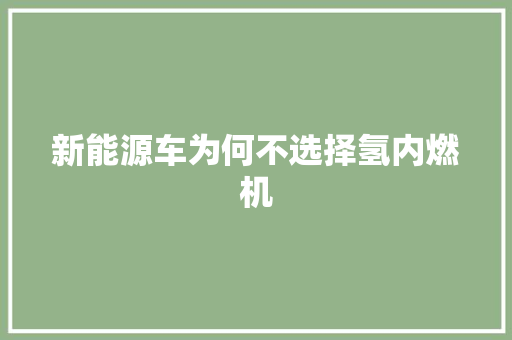 新能源车为何不选择氢内燃机