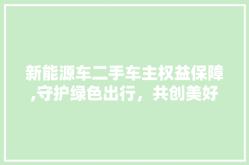 新能源车二手车主权益保障,守护绿色出行，共创美好未来