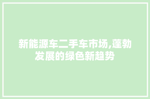 新能源车二手车市场,蓬勃发展的绿色新趋势