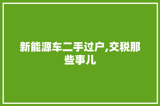 新能源车二手过户,交税那些事儿