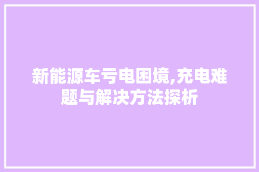 新能源车亏电困境,充电难题与解决方法探析