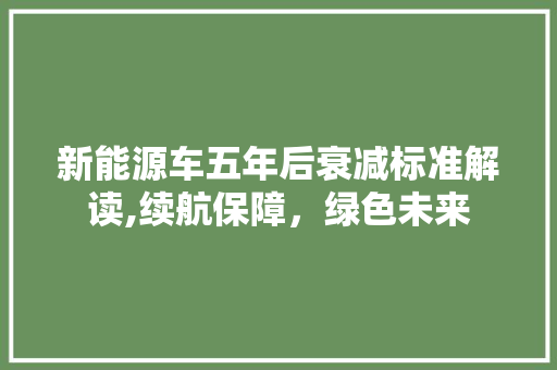 新能源车五年后衰减标准解读,续航保障，绿色未来