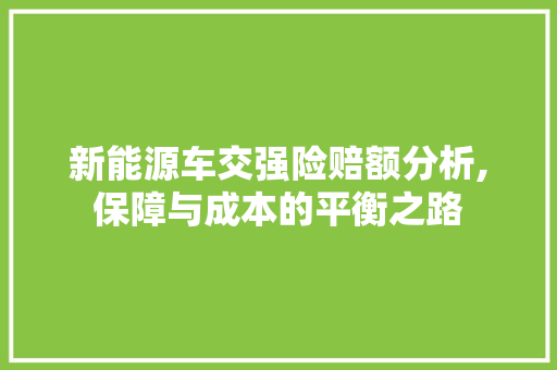 新能源车交强险赔额分析,保障与成本的平衡之路