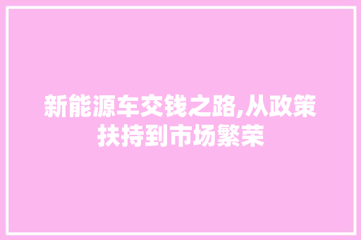 新能源车交钱之路,从政策扶持到市场繁荣