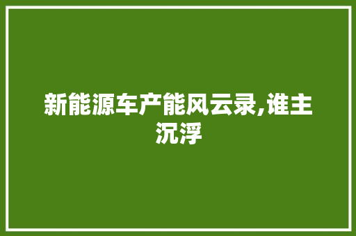 新能源车产能风云录,谁主沉浮