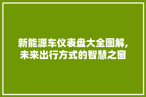 新能源车仪表盘大全图解,未来出行方式的智慧之窗