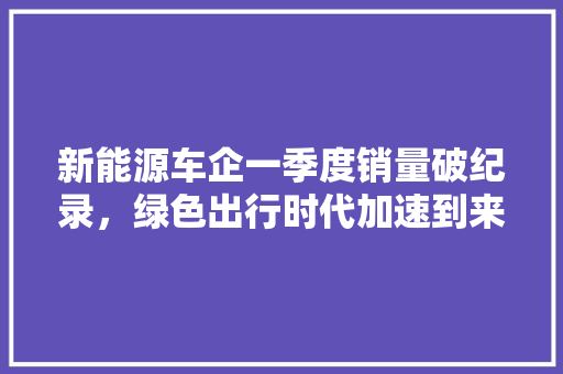 新能源车企一季度销量破纪录，绿色出行时代加速到来