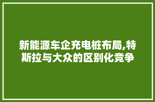 新能源车企充电桩布局,特斯拉与大众的区别化竞争