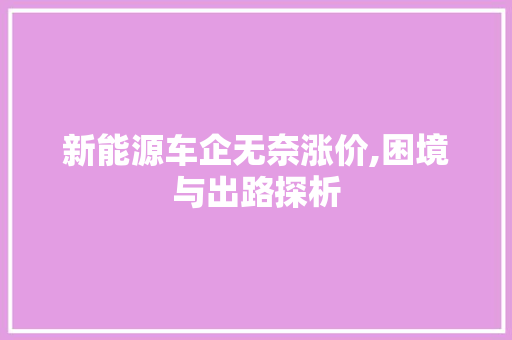 新能源车企无奈涨价,困境与出路探析