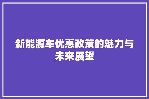 新能源车优惠政策的魅力与未来展望