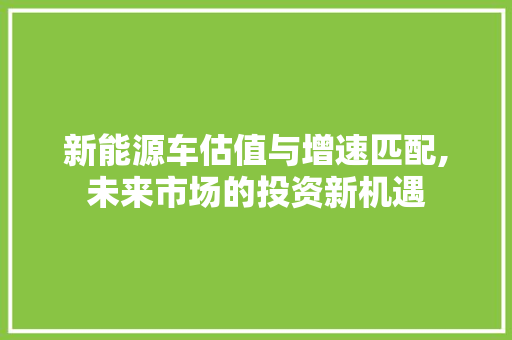 新能源车估值与增速匹配,未来市场的投资新机遇