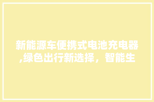 新能源车便携式电池充电器,绿色出行新选择，智能生活新伙伴