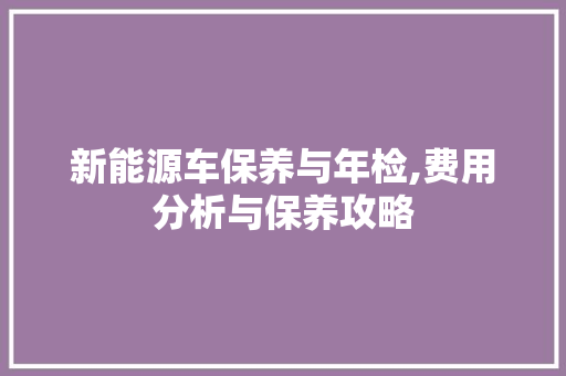 新能源车保养与年检,费用分析与保养攻略