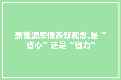 新能源车保养新观念,是“省心”还是“省力”