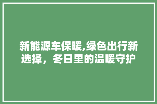 新能源车保暖,绿色出行新选择，冬日里的温暖守护