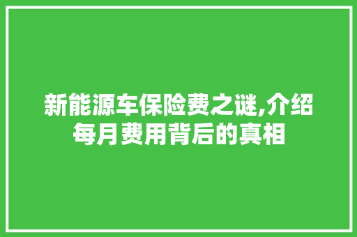 新能源车保险费之谜,介绍每月费用背后的真相