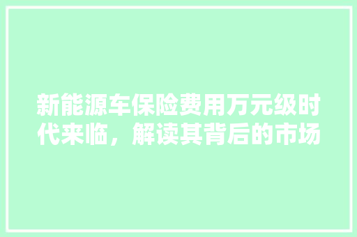 新能源车保险费用万元级时代来临，解读其背后的市场逻辑与未来趋势