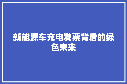 新能源车充电发票背后的绿色未来