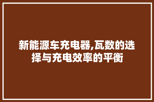 新能源车充电器,瓦数的选择与充电效率的平衡