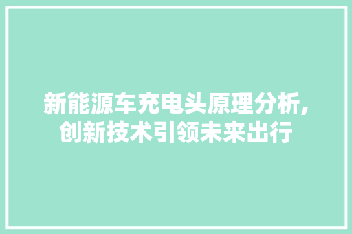 新能源车充电头原理分析,创新技术引领未来出行