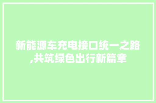 新能源车充电接口统一之路,共筑绿色出行新篇章