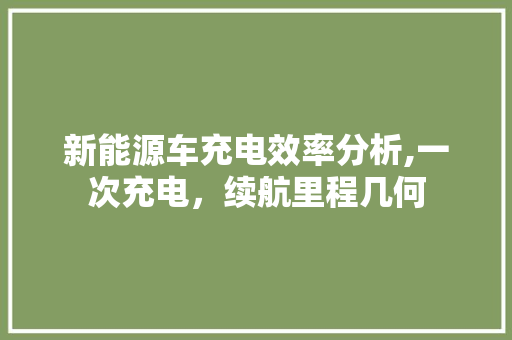 新能源车充电效率分析,一次充电，续航里程几何