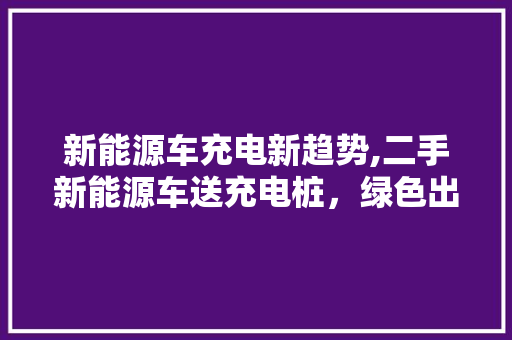 新能源车充电新趋势,二手新能源车送充电桩，绿色出行更便捷