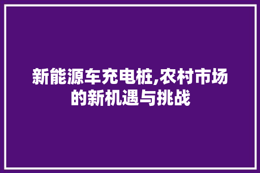 新能源车充电桩,农村市场的新机遇与挑战  第1张